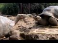 videos de Motion of the Ocean by Janna Cawrse Esarey