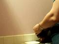 Hometesting Blood Glucose Levels for Feline Diabetes