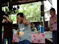 memey bibo