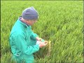 Thumbnail #1
