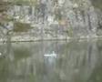Pirates Of The Glomma- Dead Man's Bazooka Norsk