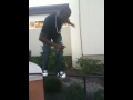 Balls 911
