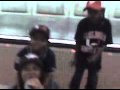 2010-05-24 | Md family having fun in DC subway ~> video uploaded from my mobile phone ()