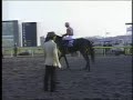 Kurofune?Japan Cup Dirt