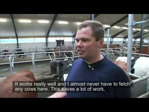 Marcus Kraft VMS DeLaval Östergård