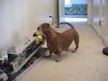 Robothrower