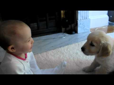 Baby and Puppy meet for the first time!