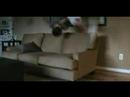 House Ninja- ep1 CARL
