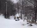 Snow Boarding With The Girls