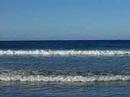 Bodysurfing Redbill Beach Tasmania