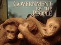 Re: The CNN/YouTube Debates
