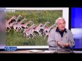 Yann Arthus-bertrand - Sommet De Copenhague