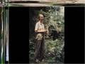 Jane Goodall