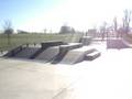 stampede and rustler at skatepark