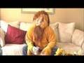 B. Hite's Basement Delight - The Trailer