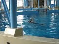 Dolphin Speak