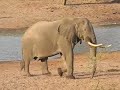 Tembe2