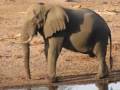 Tembe2
