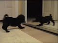 video uploaded by nicoclo