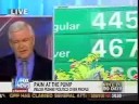 Gingrich Touts Intern's Work, 'All Economists' Support Drill