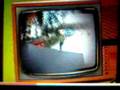 Woodcamp 2008- Mtv spot
