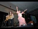 The Wild Gala 2009
