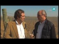 GATO GOURMET FINCA LAS CARABALLAS