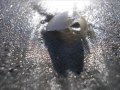 videos de BEACHES.wmv