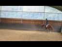 Collin & Ich in der Halle