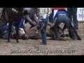 The Cheyenne Frontier Days Rodeo has always been one of the most violent and cruel rodeos in the world. With events such as the 
