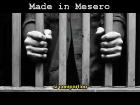 Immagine anteprima YouTube