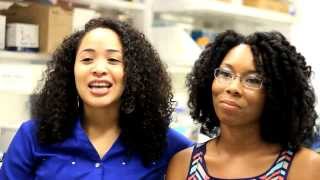 Support ManyMentors Crowdfunding Campaign!