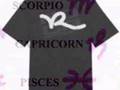 videos de Rocawear logo hidden image