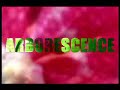 Seconde Nature Arborescence Toutevoix videodanse Vasarely