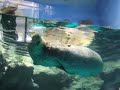 Aquarium shooting in 2006 has been...