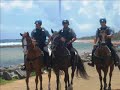 Videos y fotos del Servicio del 25 de Julio 08