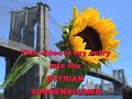 Thomas Hasler & Sonnenblumenwettbewerb