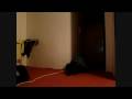 Boxing cat