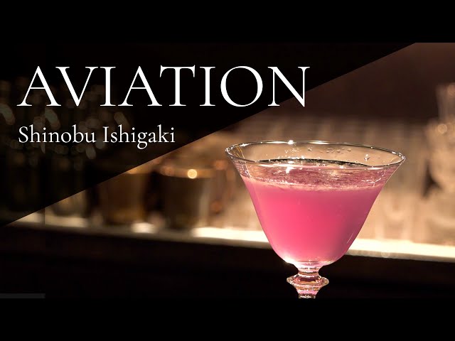 AVIATION /  アビエイション