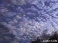 Technician: Bio time lapse clouds music video