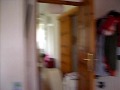 Half life real (prova)