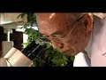 Immune Builder Interferon Immunity www.yourhealthwebsite.net
