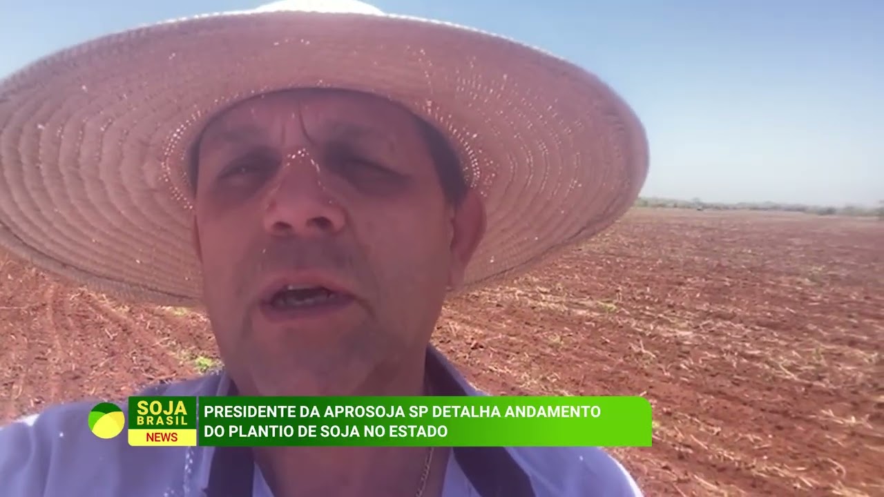 Presidente da Aprosoja SP comenta andamento do plantio no estado