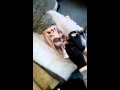 Aaronz tattooz