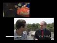 Waterboarding Demonstration