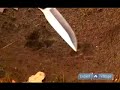 How to Track Animals : How to Track Dogs & Cats