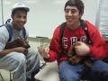 Just becuase it was funny(: