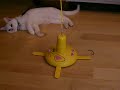 Panic Mouse 360 Panic Mouse 360