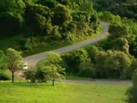 Voiture