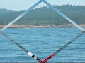 Orcas